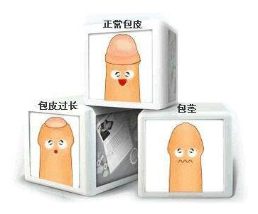 1-1Z110195QJ27 1-1Z110195QJ27